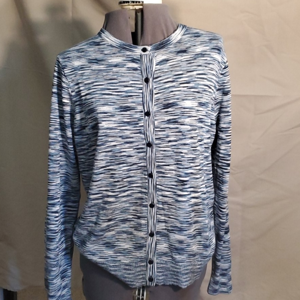 Charter Club Space Striped Sweater